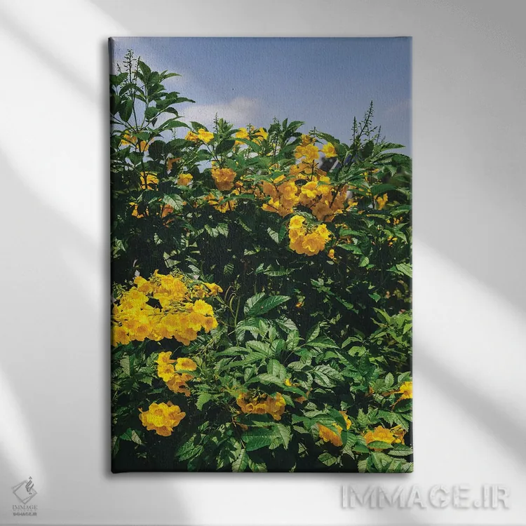 تابلو شکوفههای آستین اثر بثانی یانگ - نمای روبهرو روی دیوار