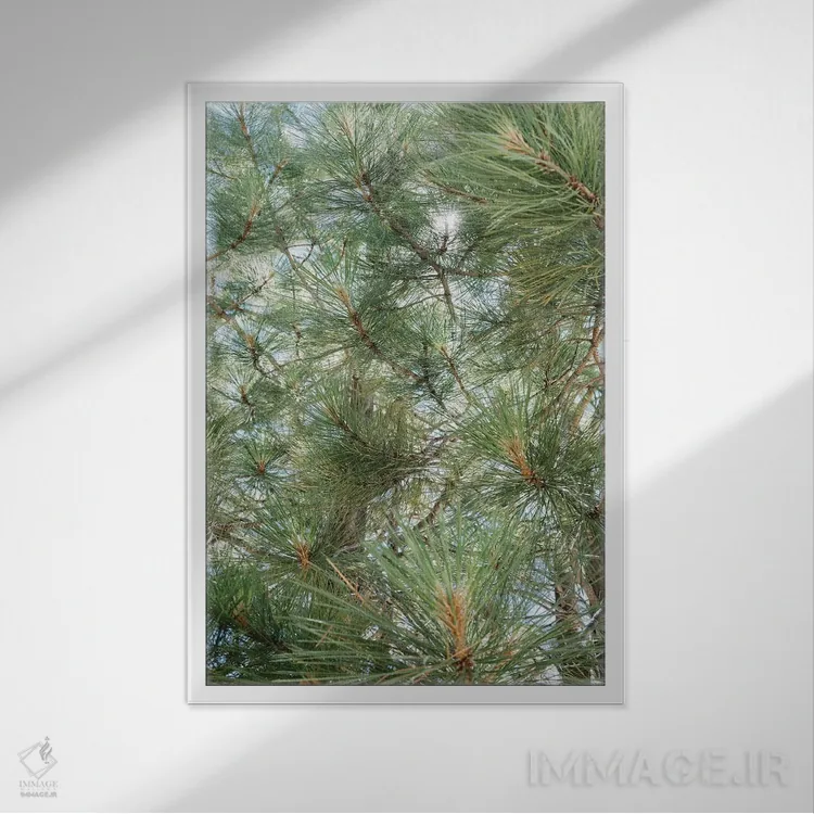 تابلو دریاچه تاهو ۹ اثر بثانی یانگ - نمای قابدار سفید