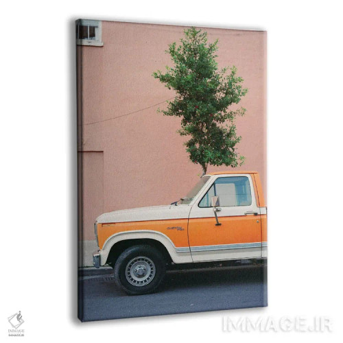 تابلو سواری نیواورلئان ۶ روی نگاتیو اثر بثانی یانگ - نمای پرسپکتیو محصول