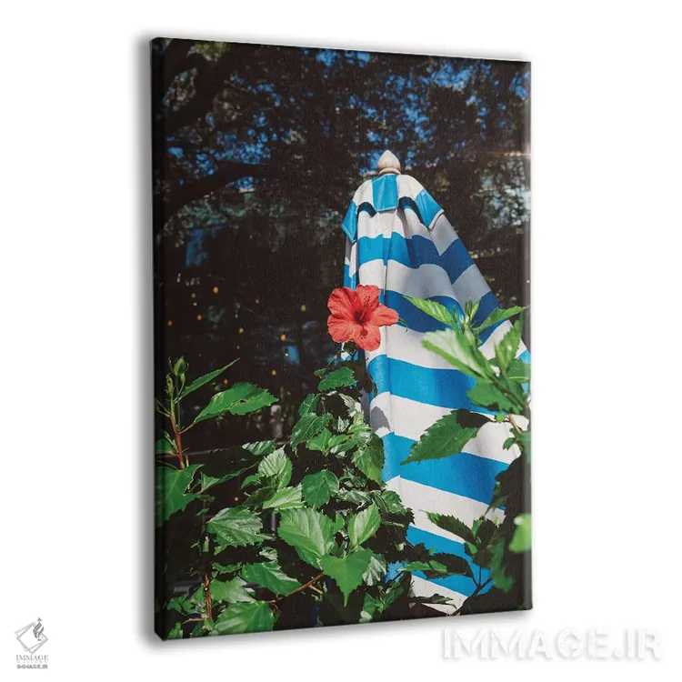 تابلو حیاط آستین اثر بثانی یانگ - نمای پرسپکتیو محصول