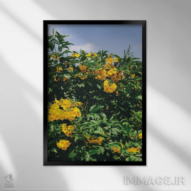 تابلو شکوفههای آستین اثر بثانی یانگ - نمای قابدار مشکی