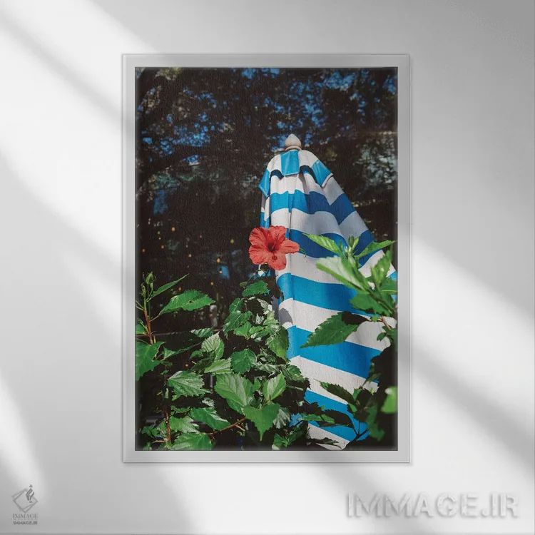 تابلو حیاط آستین اثر بثانی یانگ - نمای قابدار سفید