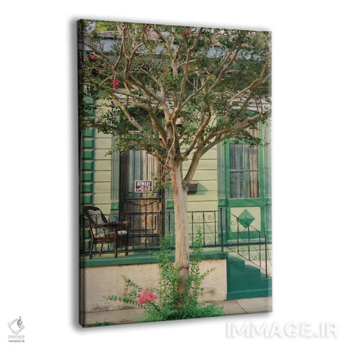 تابلو گربه نیواورلئان روی نگاتیو اثر بثانی یانگ - نمای پرسپکتیو محصول