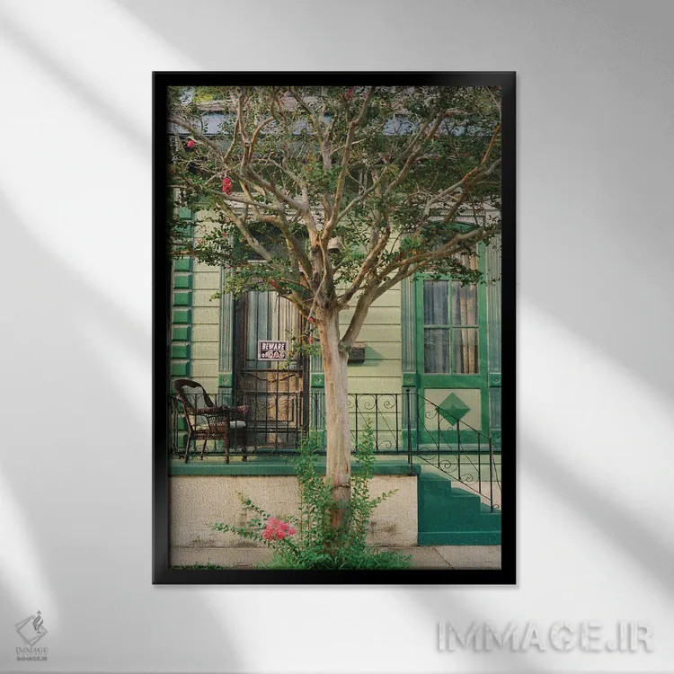 تابلو گربه نیواورلئان روی نگاتیو اثر بثانی یانگ - نمای قابدار مشکی