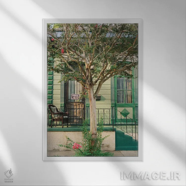 تابلو گربه نیواورلئان روی نگاتیو اثر بثانی یانگ - نمای قابدار سفید