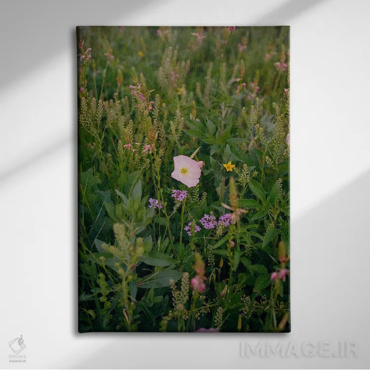 تابلو گل وحشی تگزاس اثر بثانی یانگ - نمای روبهرو روی دیوار