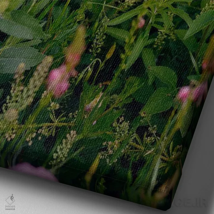 تابلو گل وحشی تگزاس اثر بثانی یانگ - نمای نزدیک بافت بوم