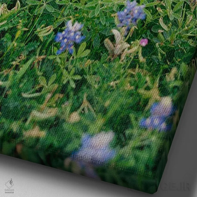 تابلو مزرعه گل بلوبونت تگزاس اثر بثانی یانگ - نمای نزدیک بافت بوم