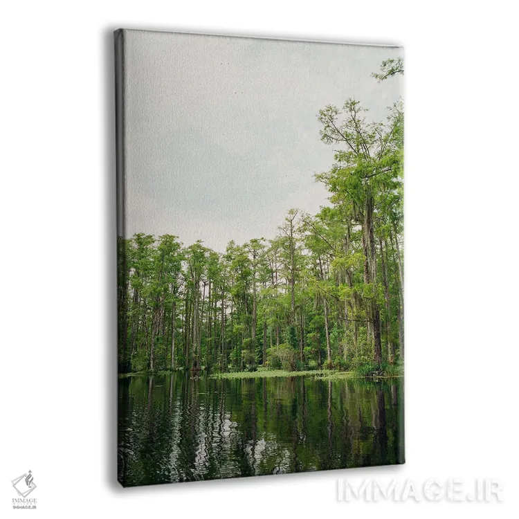 تابلو باغ سرو چارلستون ۵ روی نگاتیو اثر بثانی یانگ - نمای پرسپکتیو محصول