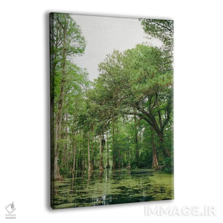 تابلو باغ سرو چارلستون ۲ روی نگاتیو اثر بثانی یانگ - نمای پرسپکتیو محصول