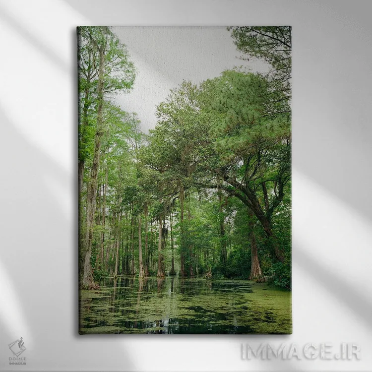 تابلو باغ سرو چارلستون ۲ روی نگاتیو اثر بثانی یانگ - نمای روبهرو روی دیوار