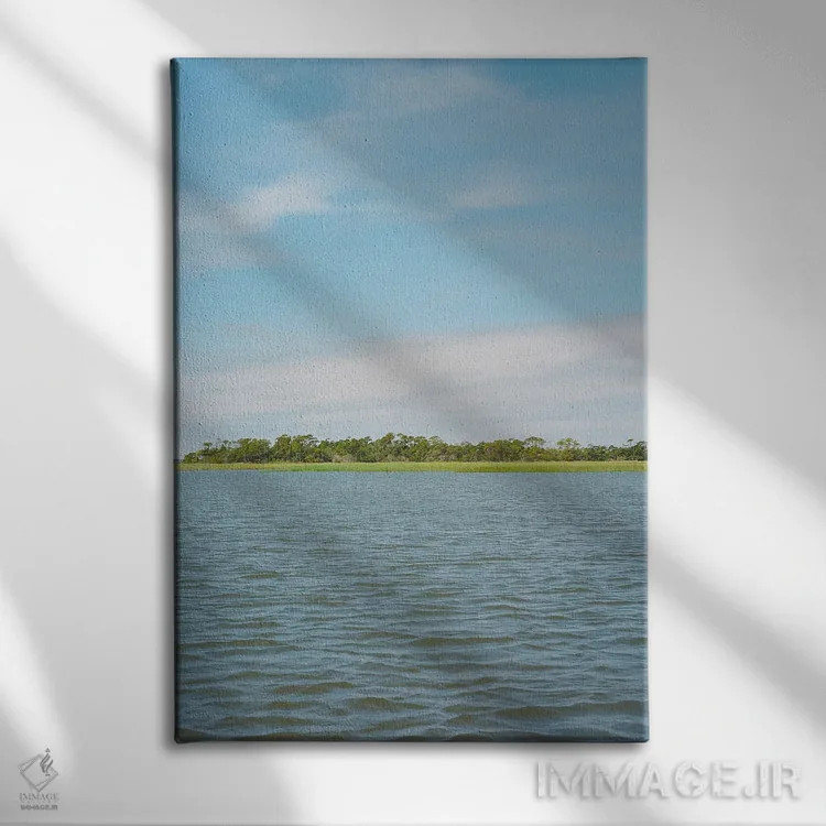 تابلو تابستان کارولینای جنوبی اثر بثانی یانگ - نمای روبهرو روی دیوار