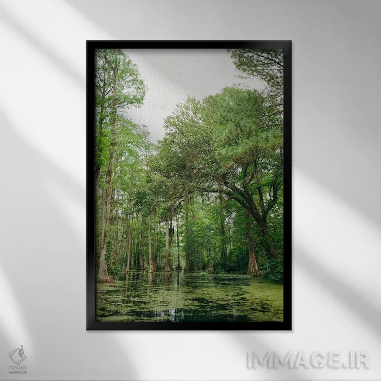 تابلو باغ سرو چارلستون ۲ روی نگاتیو اثر بثانی یانگ - نمای قابدار مشکی