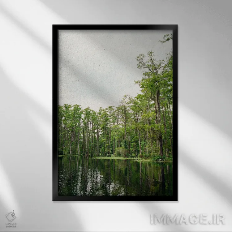 تابلو باغ سرو چارلستون ۵ روی نگاتیو اثر بثانی یانگ - نمای قابدار مشکی