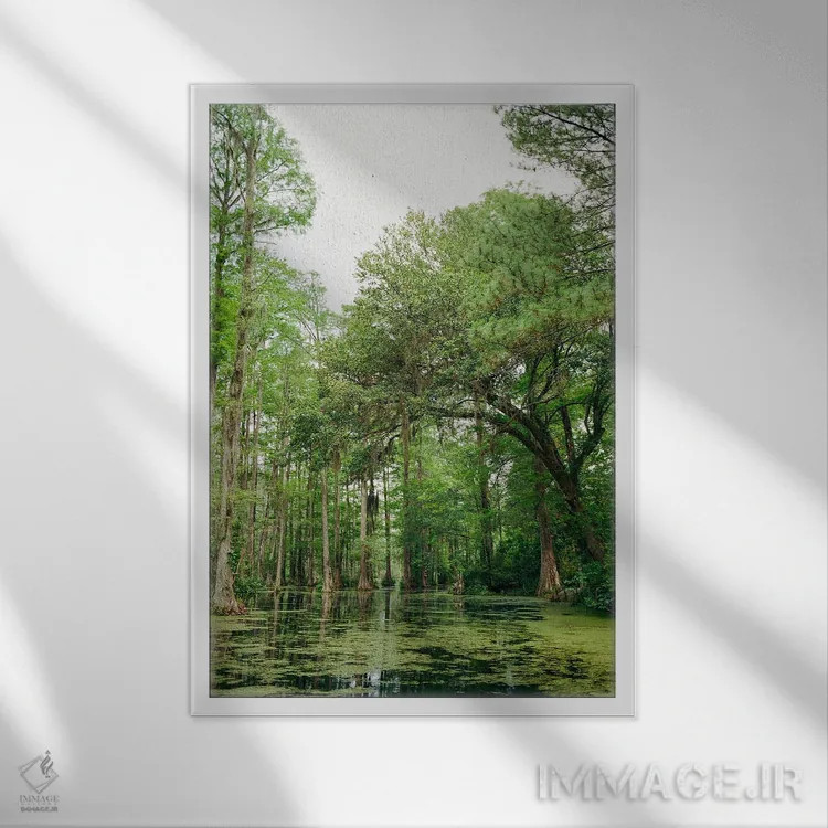 تابلو باغ سرو چارلستون ۲ روی نگاتیو اثر بثانی یانگ - نمای قابدار سفید