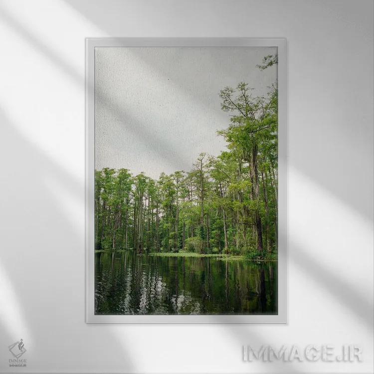 تابلو باغ سرو چارلستون ۵ روی نگاتیو اثر بثانی یانگ - نمای قابدار سفید