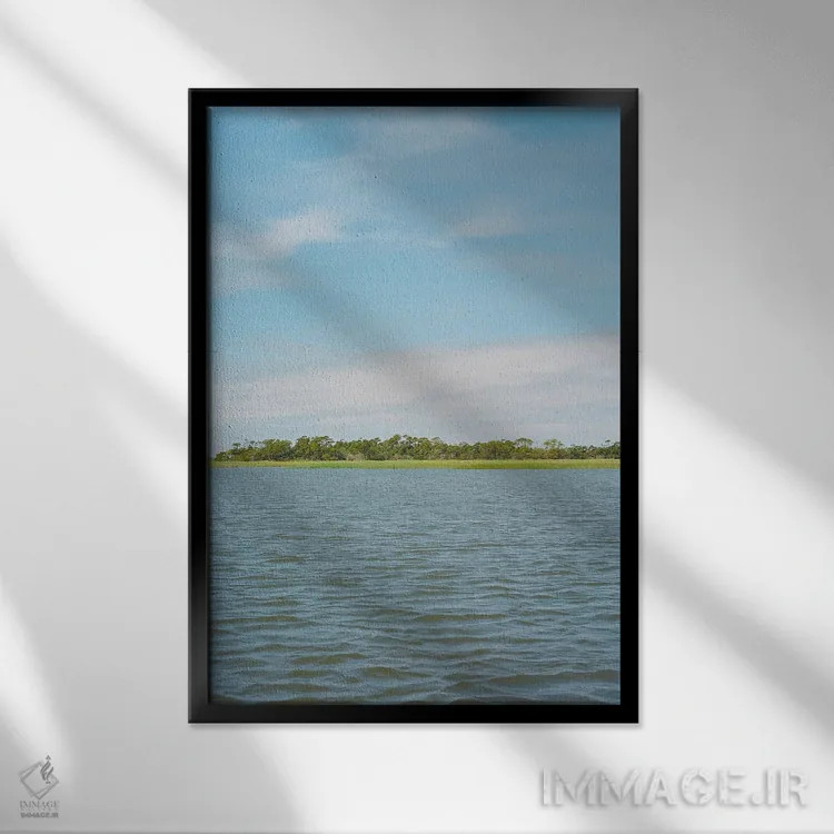 تابلو تابستان کارولینای جنوبی اثر بثانی یانگ - نمای قابدار مشکی