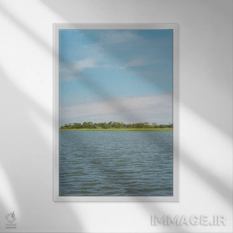 تابلو تابستان کارولینای جنوبی اثر بثانی یانگ - نمای قابدار سفید