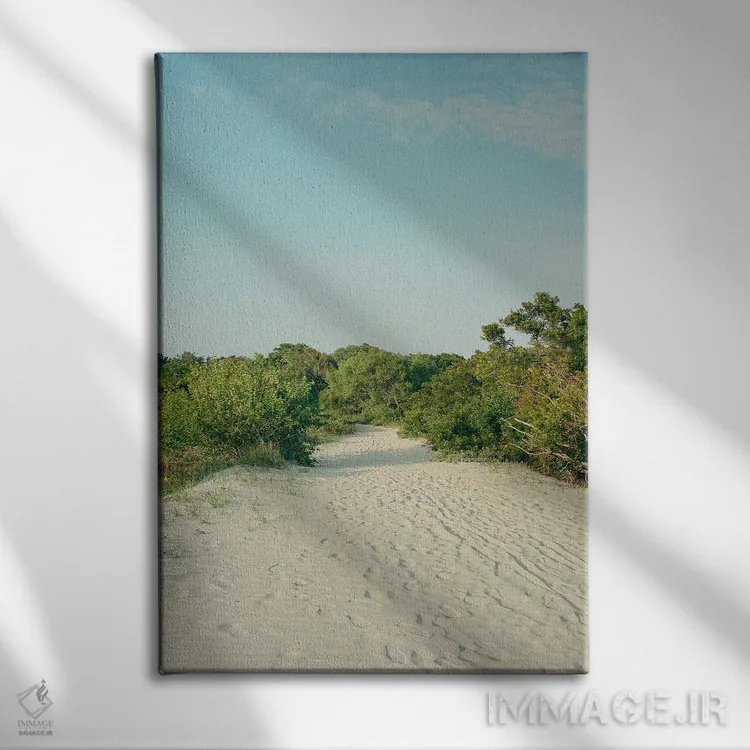 تابلو جزیره سالیوان روی نگاتیو اثر بثانی یانگ - نمای روبهرو روی دیوار