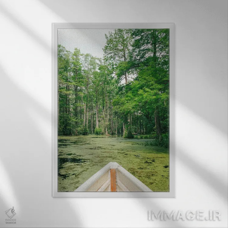 تابلو باغ سرو چارلستون روی نگاتیو اثر بثانی یانگ - نمای قابدار سفید