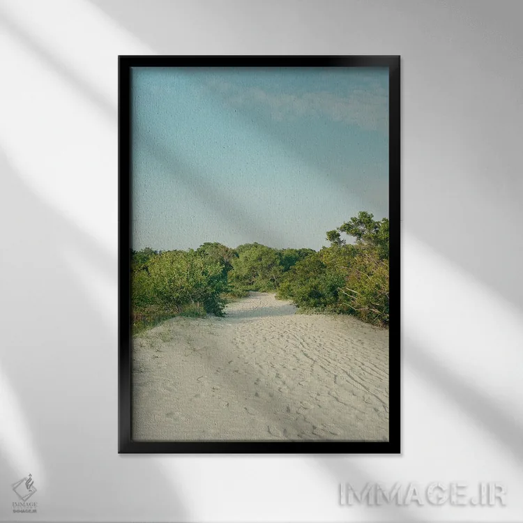 تابلو جزیره سالیوان روی نگاتیو اثر بثانی یانگ - نمای قابدار مشکی