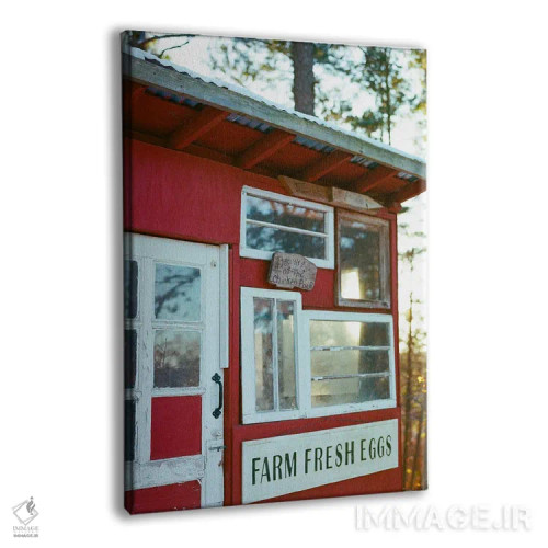 تابلو آلونک مرغ یورکا اسپرینگز اثر بثانی یانگ - نمای پرسپکتیو محصول