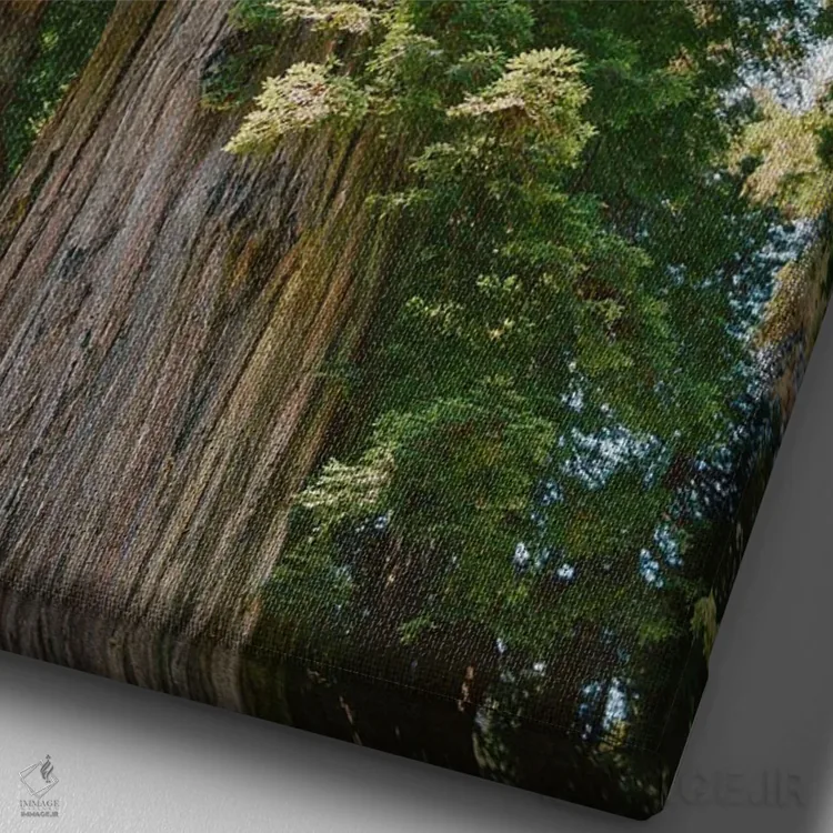 تابلو جنگل ردوود کالیفرنیا روی نگاتیو اثر بثانی یانگ - نمای نزدیک بافت بوم