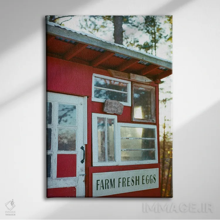 تابلو آلونک مرغ یورکا اسپرینگز اثر بثانی یانگ - نمای روبهرو روی دیوار