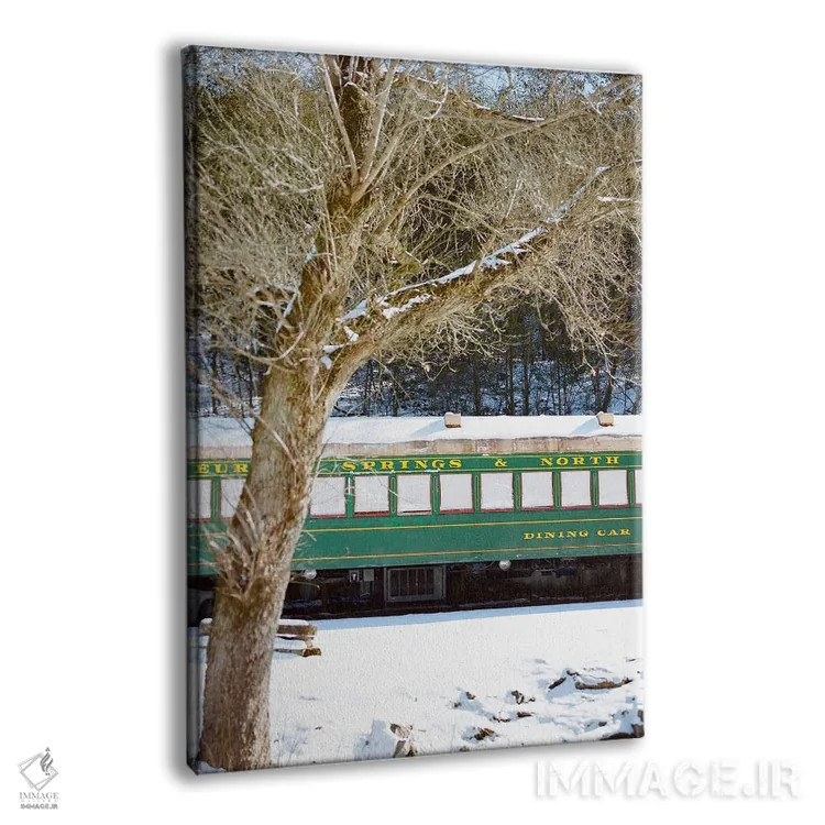 تابلو برف یورکا اسپرینگز اثر بثانی یانگ - نمای پرسپکتیو محصول