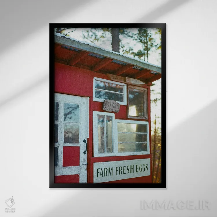 تابلو آلونک مرغ یورکا اسپرینگز اثر بثانی یانگ - نمای قابدار مشکی