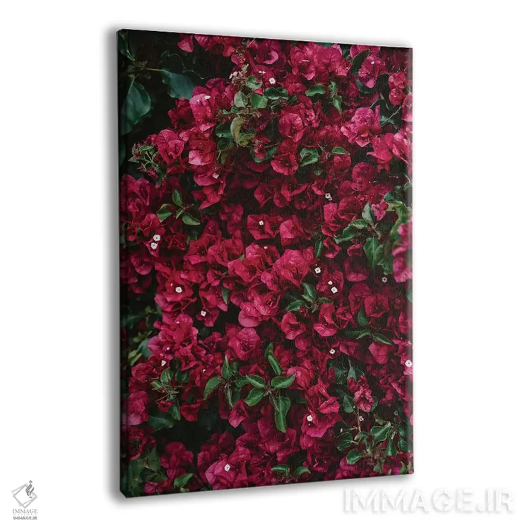 تابلو شکوفههای کارمل اثر بثانی یانگ - نمای پرسپکتیو محصول