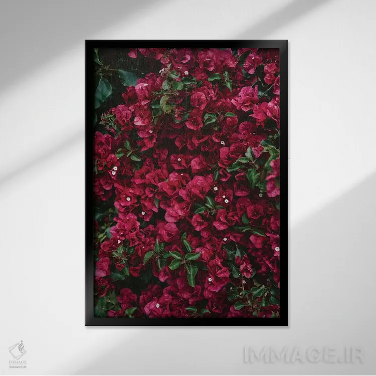 تابلو شکوفههای کارمل اثر بثانی یانگ - نمای قابدار مشکی