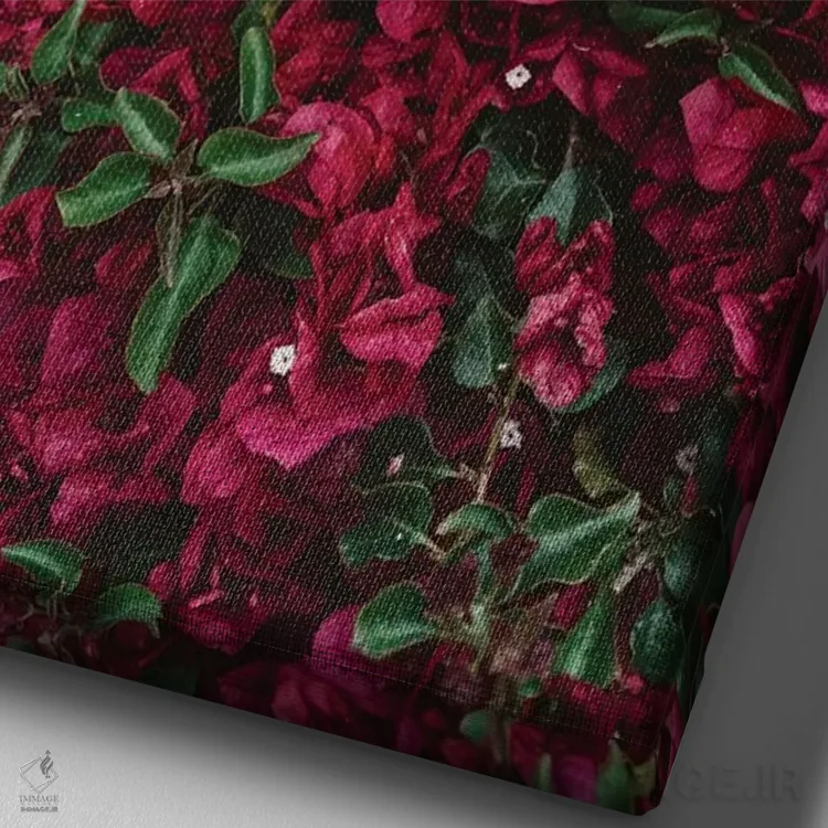 تابلو شکوفههای کارمل اثر بثانی یانگ - نمای نزدیک بافت بوم