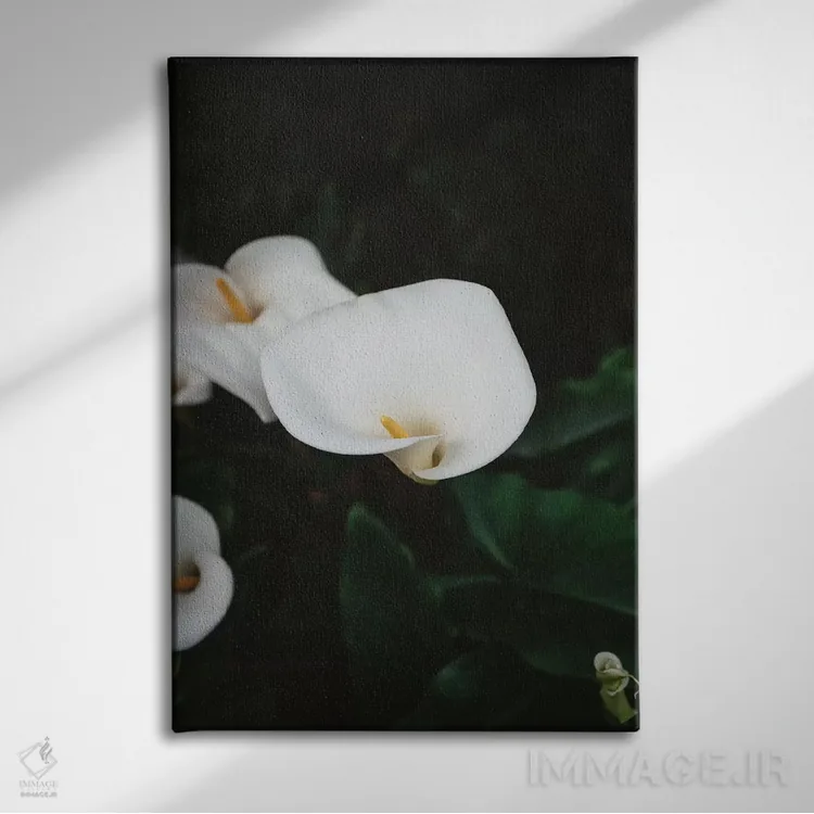 تابلو شکوفههای کارمل ۲ اثر بثانی یانگ - نمای روبهرو روی دیوار