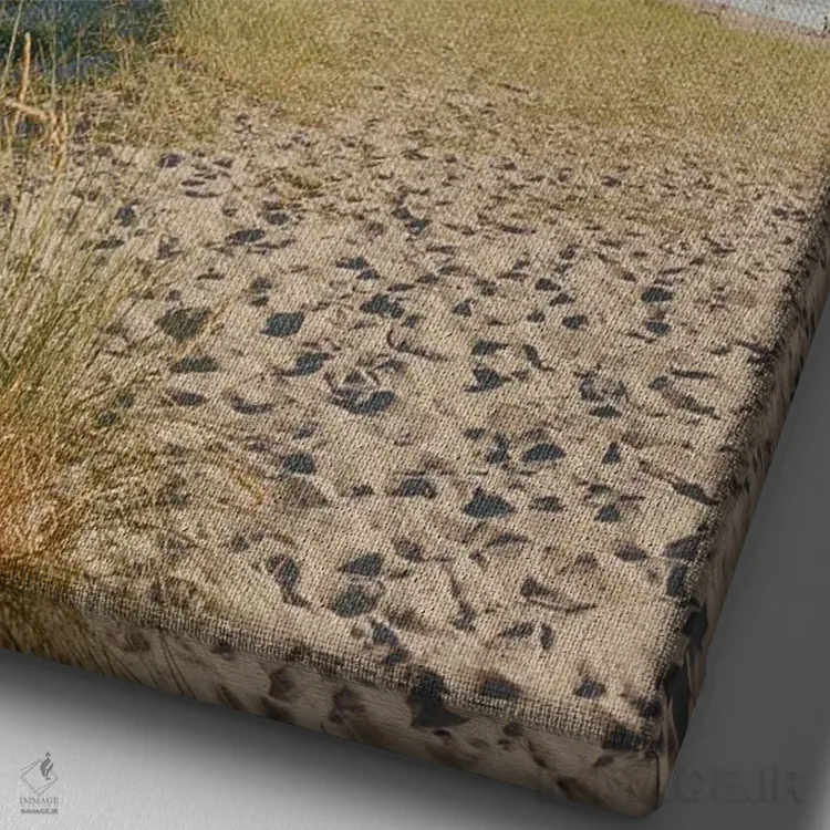 تابلو ساحل کنن ۲ اثر بثانی یانگ - نمای نزدیک بافت بوم