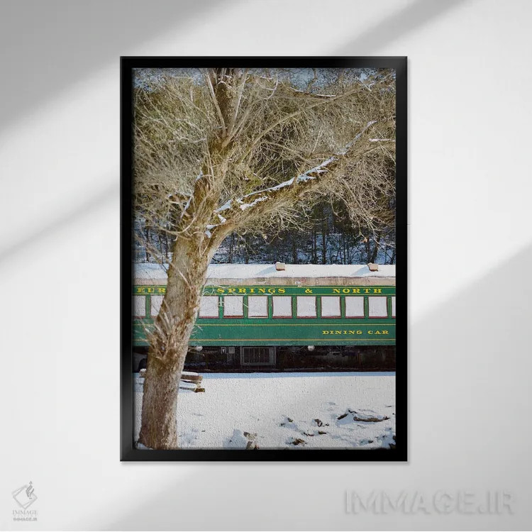 تابلو برف یورکا اسپرینگز اثر بثانی یانگ - نمای قابدار مشکی