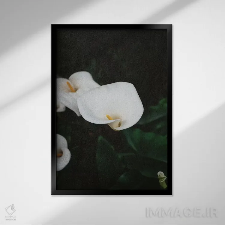 تابلو شکوفههای کارمل ۲ اثر بثانی یانگ - نمای قابدار مشکی