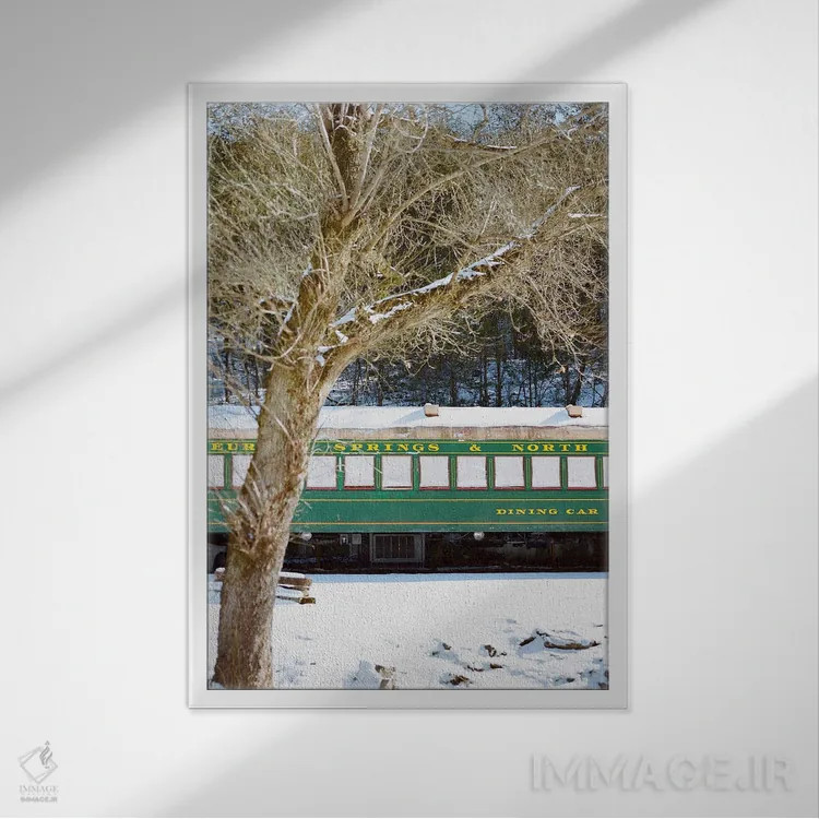 تابلو برف یورکا اسپرینگز اثر بثانی یانگ - نمای قابدار سفید