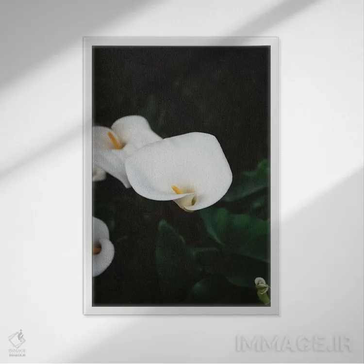 تابلو شکوفههای کارمل ۲ اثر بثانی یانگ - نمای قابدار سفید