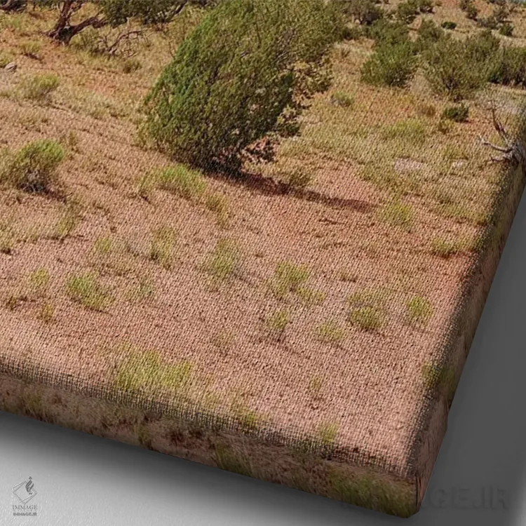 تابلو مزرعه اشباح ۳ اثر بثانی یانگ - نمای نزدیک بافت بوم