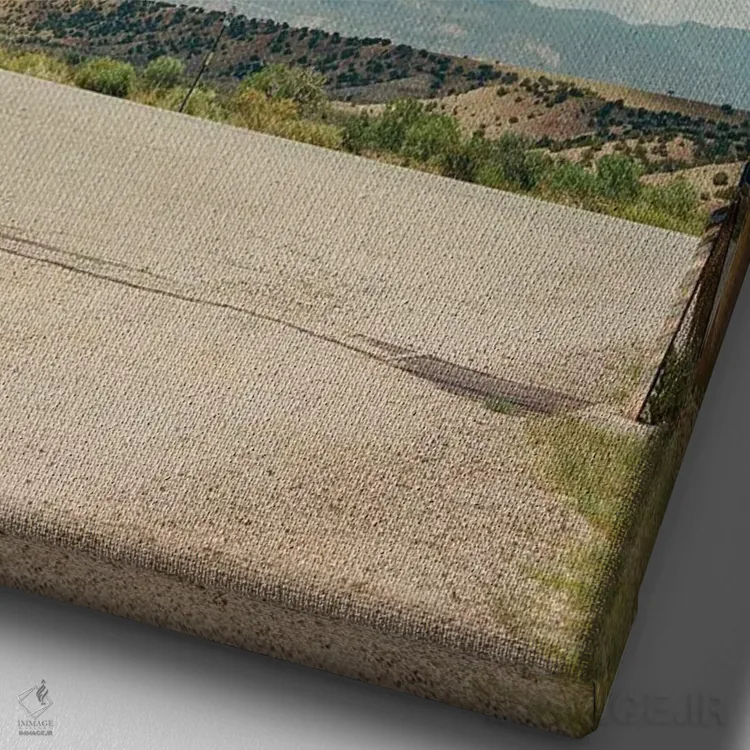 تابلو مزرعه اشباح ۱۰ اثر بثانی یانگ - نمای نزدیک بافت بوم