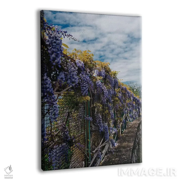 تابلو شکوفههای ساحل آمالفی ۳ اثر بثانی یانگ - نمای پرسپکتیو محصول