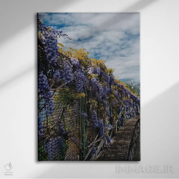 تابلو شکوفههای ساحل آمالفی ۳ اثر بثانی یانگ - نمای روبهرو روی دیوار