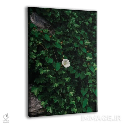 تابلو شکوفههای ساحل آمالفی ۴ اثر بثانی یانگ - نمای پرسپکتیو محصول