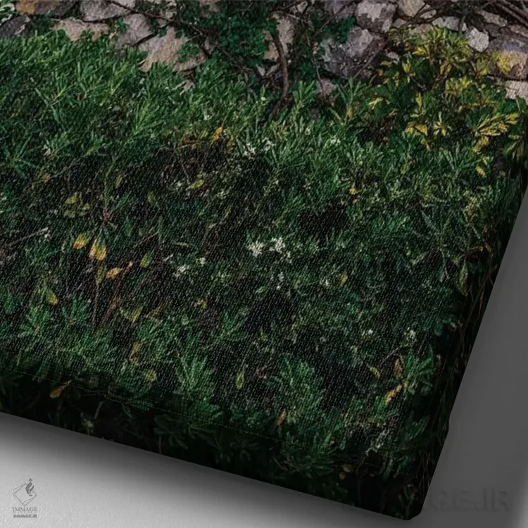 تابلو شکوفههای ساحل آمالفی ۵ اثر بثانی یانگ - نمای نزدیک بافت بوم