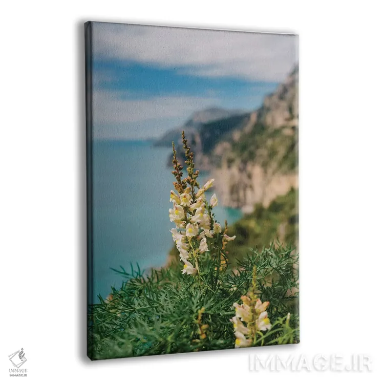 تابلو شکوفههای ساحل آمالفی ۱ اثر بثانی یانگ - نمای پرسپکتیو محصول