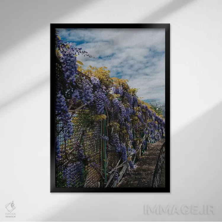 تابلو شکوفههای ساحل آمالفی ۳ اثر بثانی یانگ - نمای قابدار مشکی