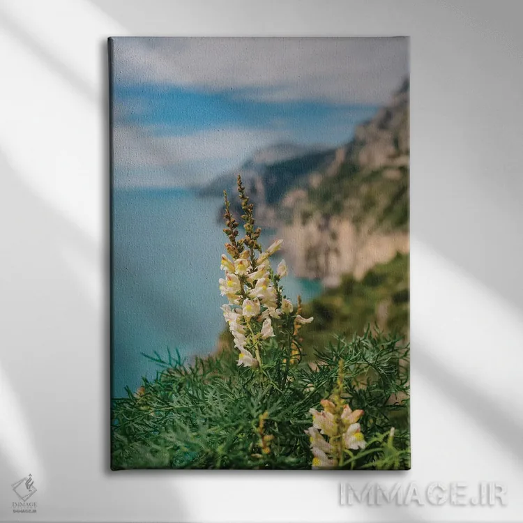 تابلو شکوفههای ساحل آمالفی ۱ اثر بثانی یانگ - نمای روبهرو روی دیوار