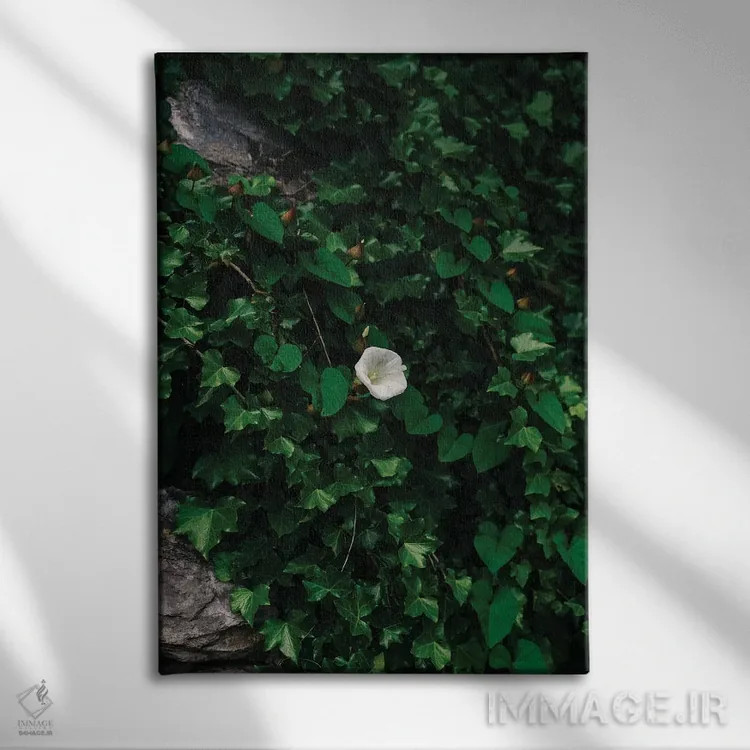 تابلو شکوفههای ساحل آمالفی ۴ اثر بثانی یانگ - نمای روبهرو روی دیوار