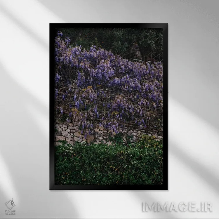 تابلو شکوفههای ساحل آمالفی ۵ اثر بثانی یانگ - نمای قابدار مشکی